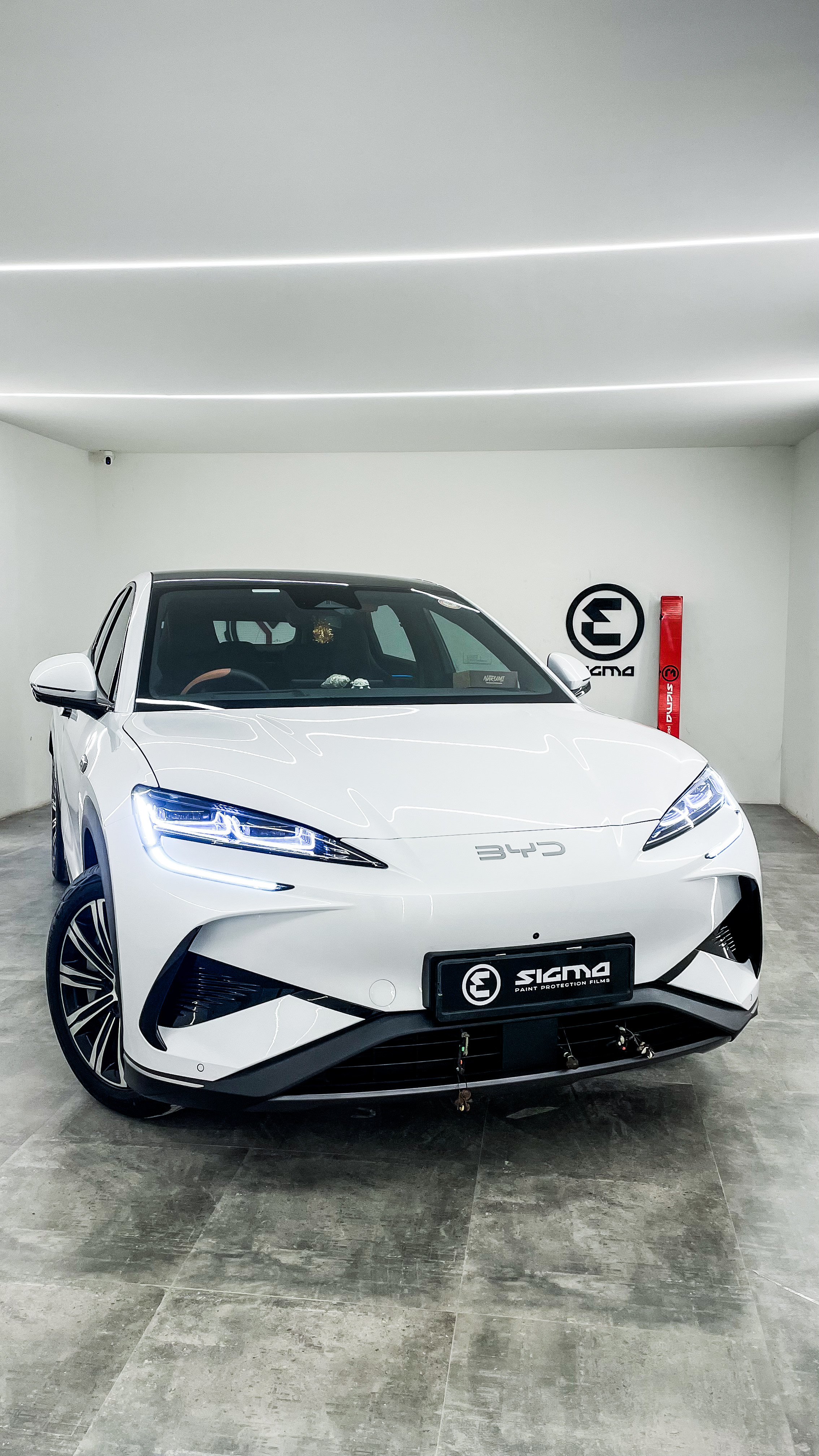 Paint Protection Film